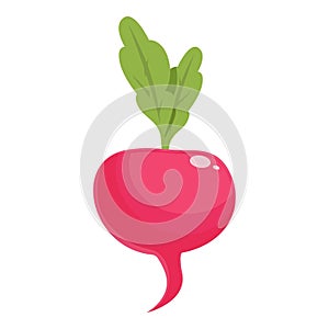 Fresh radish icon cartoon vector. Food plant