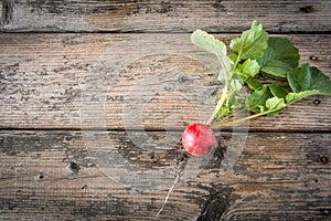 Fresh radish with leaves on wooden table