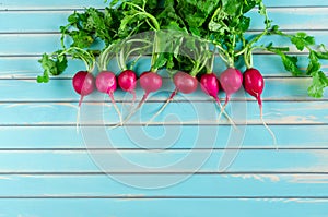 Fresh radish lying in a row on rustic wooden turquoise background