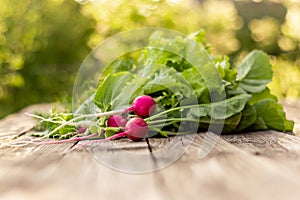 Fresh radish on an old wooden table on a green background with leaves