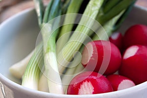 Fresh radish and onion