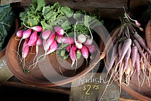 Fresh Radish Radishes Farm Produce for Market Sale Sign