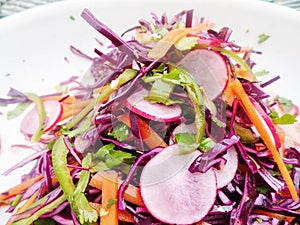 Fresh Radish. Red Cabbage, Green Pepper and Carrot Salad