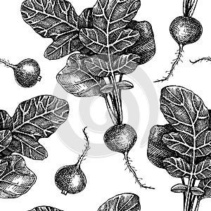 Fresh radish seamless pattern. Garden vegetable background. Root vegetable backdrop withhand-sketched food plants. Vector photo