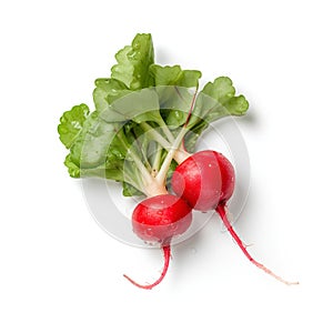 Fresh radish with water drops isolated on white background, top view.