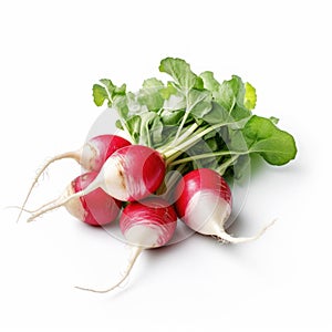 Fresh radish on white background