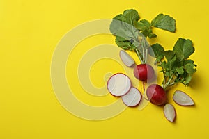 Fresh radish on yellow background, space for text