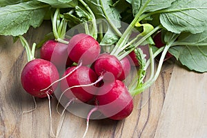 Fresh Radishes photo