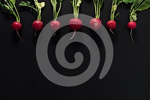 Fresh radishes on black background.