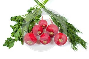 Fresh radishes, green dill and parsley isolated on white background. Salad composition. Healthy food conception