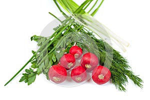 Fresh radishes, green dill, parsley and onion isolated on white background. Salad composition. Healthy food conception