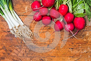 Fresh radishes and onion on old rustic wooden table
