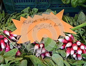 Fresh radishes on sale in the Cours Saleya Market in the old town of Nice, France