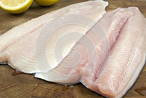 Fresh rainbow trout filets