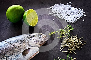 Fresh rainbow trout with lime and seasoning. Fish at dark background. Detail of preparation