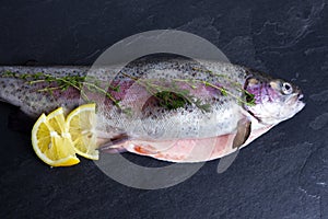 Fresh rainbow trout with spices and vegetables on black background