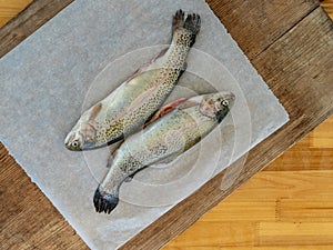 Fresh rainbow trouts Oncorhynchus mykiss