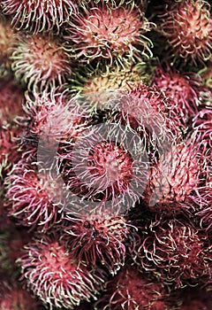 Fresh rambutan fruit closeup detail