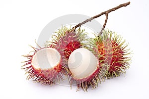 Fresh rambutan fruit photo