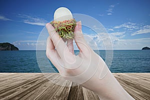 Fresh Rambutan fruit in woman hand holding peeled rambutan with a perspective wooden table over blurred sea and blue sky