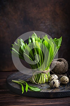 Fresh ramson wild garlic and quail eggs