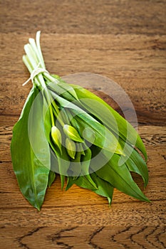 Fresh ramsons on a wooden plate photo