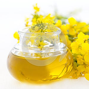 Fresh rapeseed oil