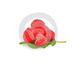 Fresh rasberry on white background