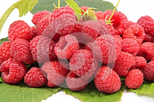 Fresh raspberries