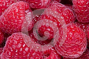 Fresh raspberries