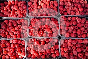 Fresh raspberries as background