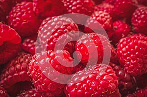 Fresh raspberries background