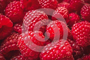 Fresh raspberries background photo