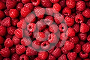 Fresh raspberries background closeup, raspberry texture, fruit summer backdrop for your design. The concept of a healthy diet,