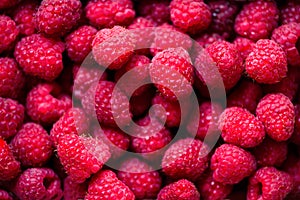 Fresh raspberries background with copy space. Top view. Vegan and vegetarian concept. Summer healthy food. Macro of