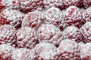 Fresh raspberries background with powdered sugar