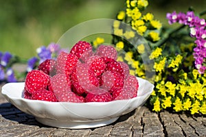 Fresh raspberries in a bowl