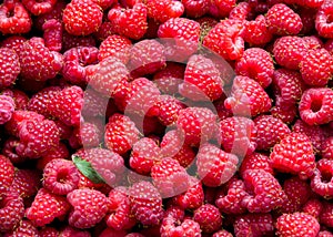 fresh raspberries in bulk ai