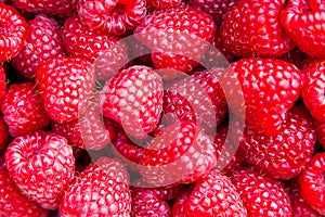 Fresh raspberries