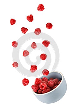 Fresh raspberries falling into bowl isolated on white