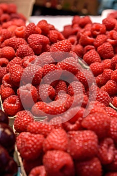 Fresh raspberries in an indoor farmers market