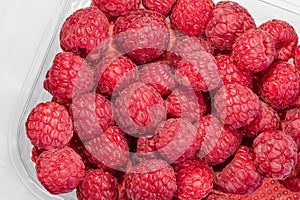 Fresh raspberries in plastic bowl