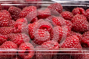 Fresh raspberries, raspberry tray close-up