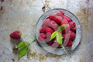 Fresh raspberries in vintage bowl vitamins healthy food vegan ingredients. Selective focus