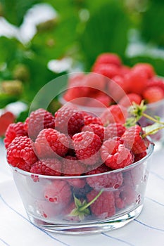 Fresh raspberry