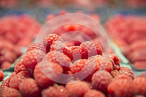 Fresh raspberry basket