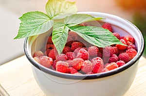 Fresh raspberry in a bowl is in the garden on a background of green grass. summer harvest. red berry. healthy food.