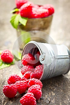 Fresh raspberry in the bucket