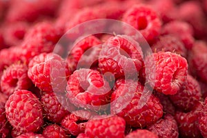 Fresh raspberry close-up
