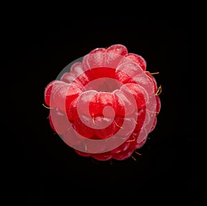 Fresh raspberry macro